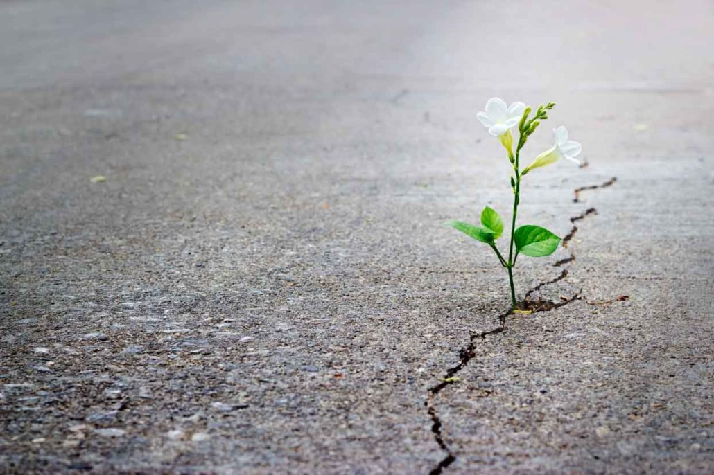کارهای انگیزه بخش ۲ معصومه تیموری